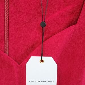 Dress the Population Elle Dress in Garnet NWT Sz L
